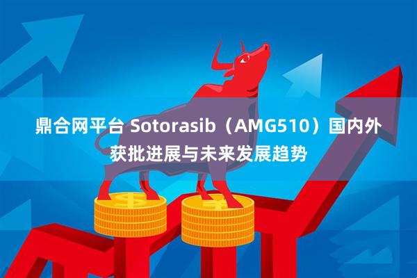 鼎合网平台 Sotorasib（AMG510）国内外获批进展与未来发展趋势